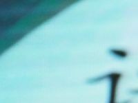 东南教科院活动简报丨课堂革命·福田表达/中小学语文贯通式教学”专场中小学观摩研讨活动圆满结束！